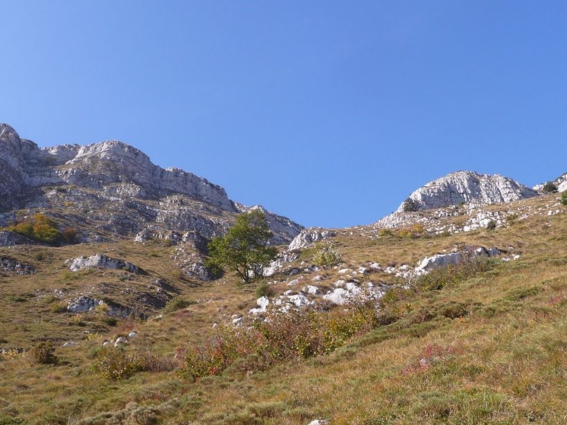 stazione di Campylaea tiesenhauseni